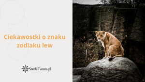 Read more about the article Ciekawostki o znaku zodiaku lew