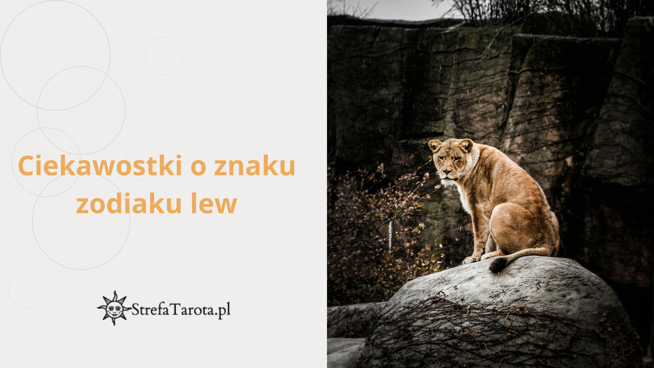 Read more about the article Ciekawostki o znaku zodiaku lew