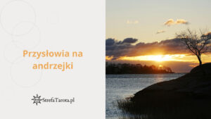 Read more about the article Przysłowia na andrzejki