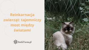 Read more about the article Reinkarnacja zwierząt: tajemniczy most między światami