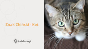 Read more about the article Znak Chiński – Kot