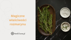 Read more about the article Magiczne właściwości rozmarynu